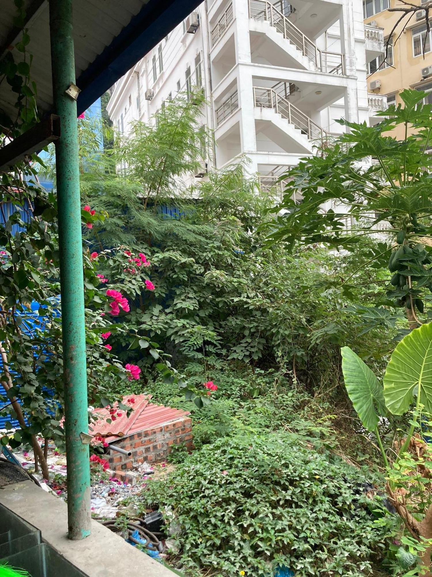 An Duong Hotel Cat Ba Chan Chau Exteriör bild